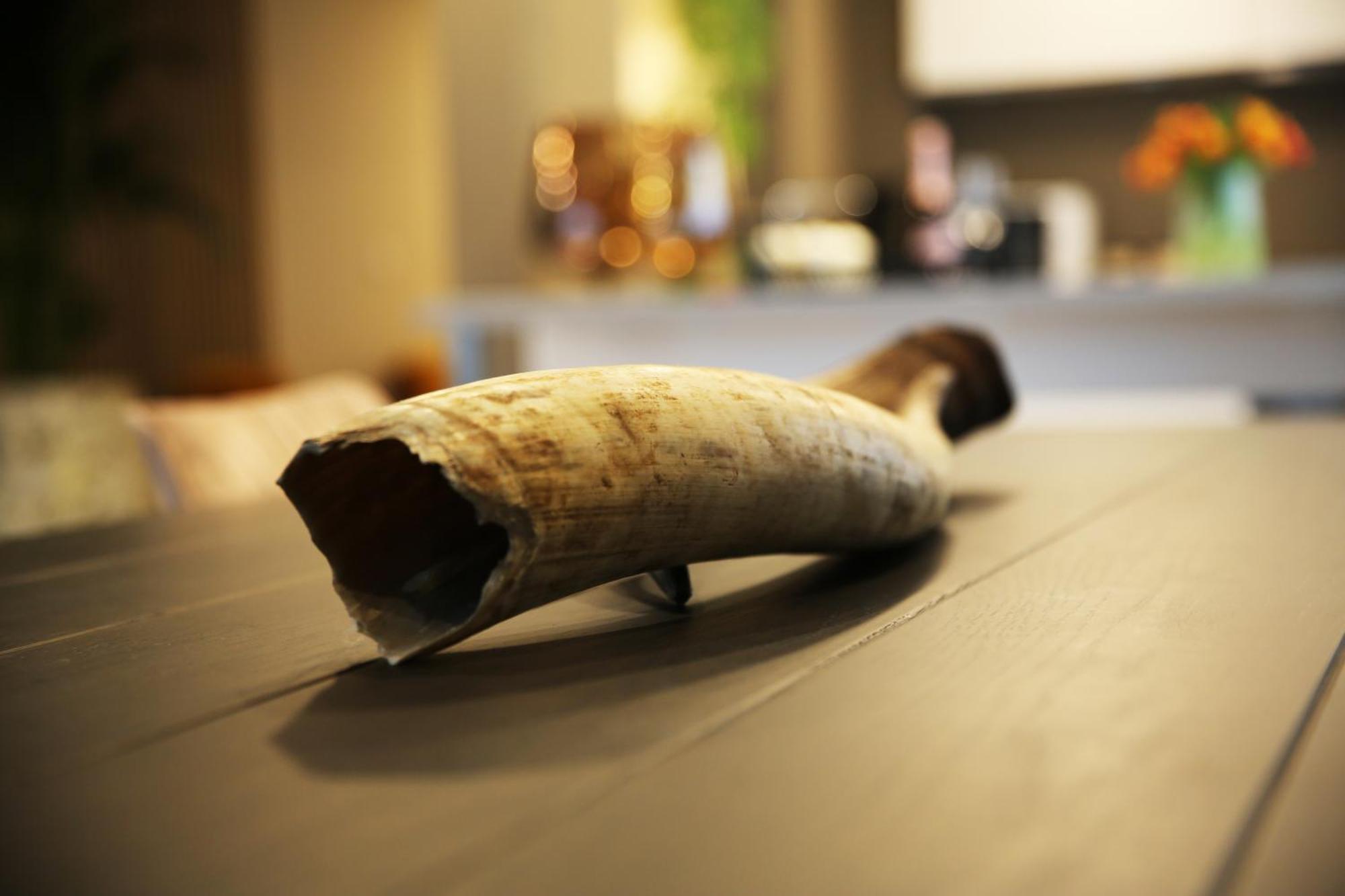L'Appart Baobab, Avec Sauna เลียจ ภายนอก รูปภาพ